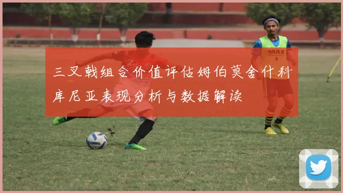 三叉戟组合价值评估姆伯莫舍什科库尼亚表现分析与数据解读